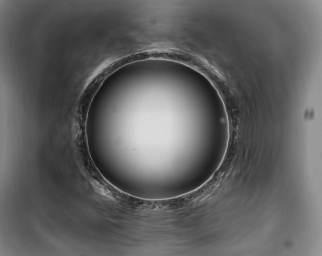 X0000100371400200806061145