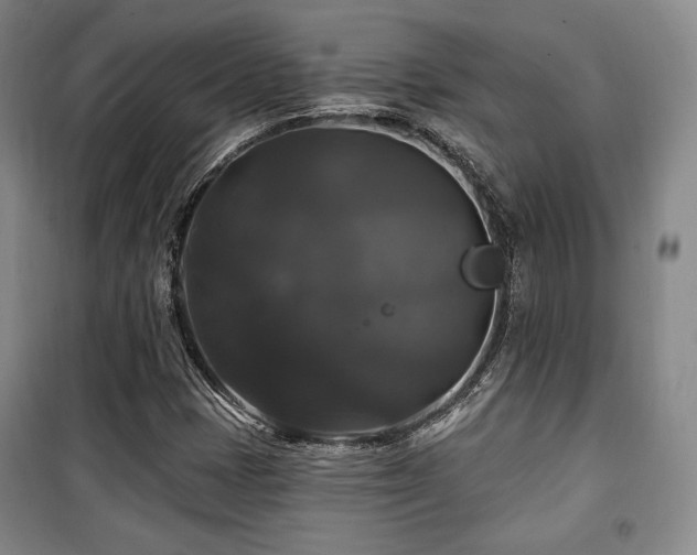 X0000100371401200806061145