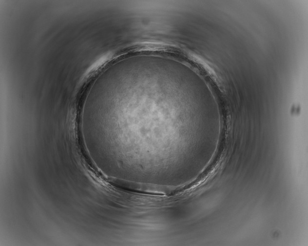 X0000100371403200806061145
