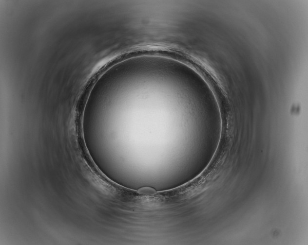 X0000100371404200806061145