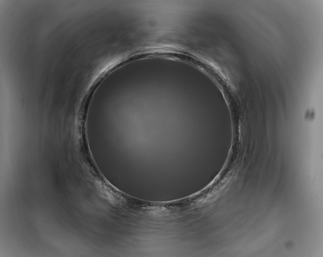 X0000100371405200806061145
