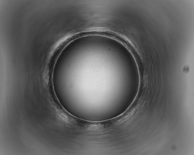 X0000100371406200806061145