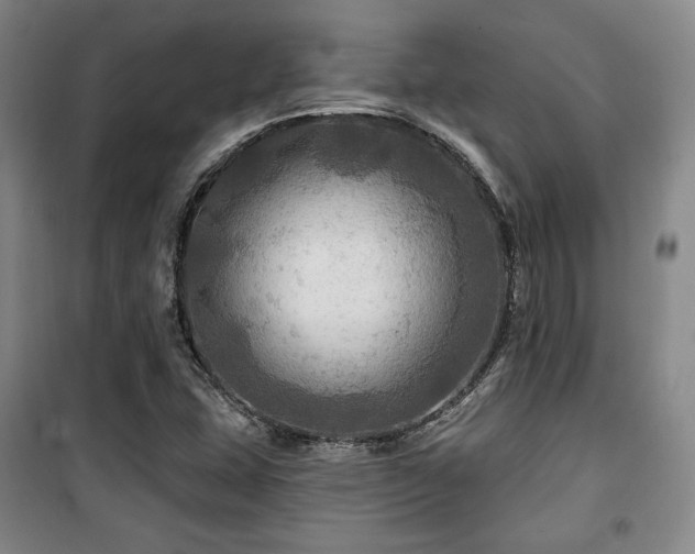 X0000100371407200806061145
