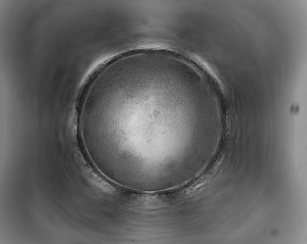 X0000100371408200806061145