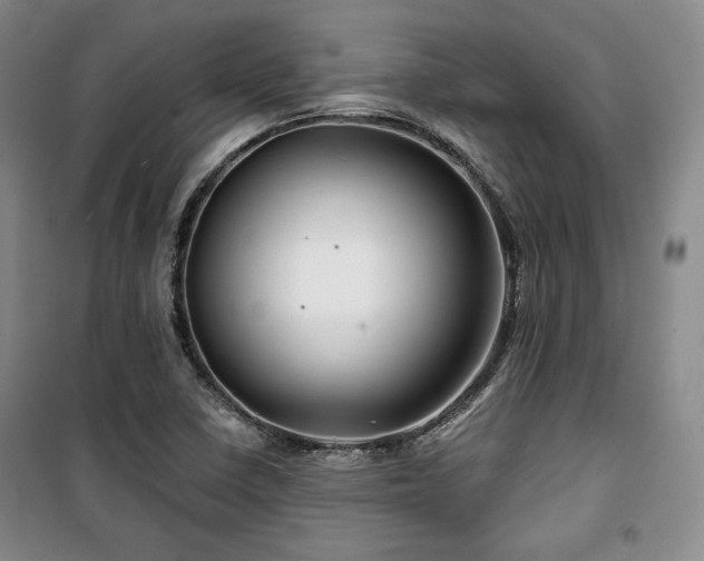 X0000100371410200806061145