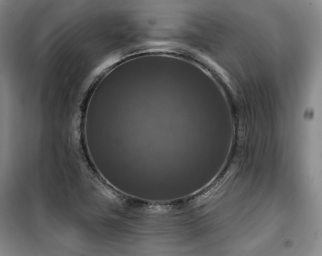 X0000100371411200806061145