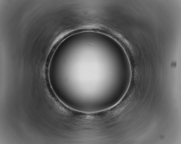 X0000100371412200806061145