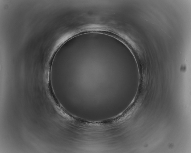X0000100371413200806061145