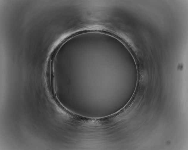X0000100371414200806061145