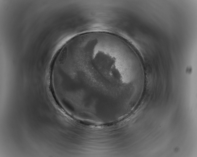 X0000100371415200806061145