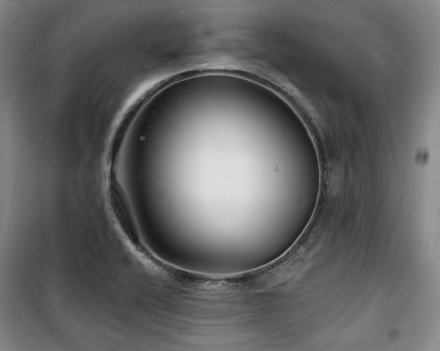 X0000100371416200806061145