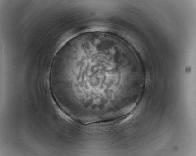 X0000100371417200806061145
