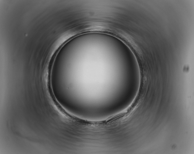 X0000100371418200806061145