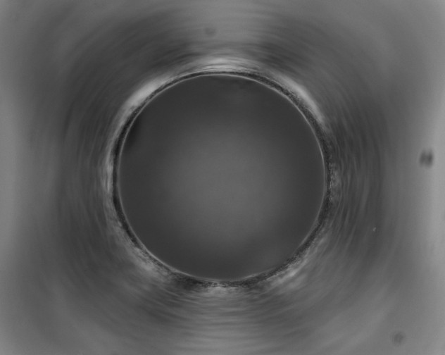X0000100371419200806061145