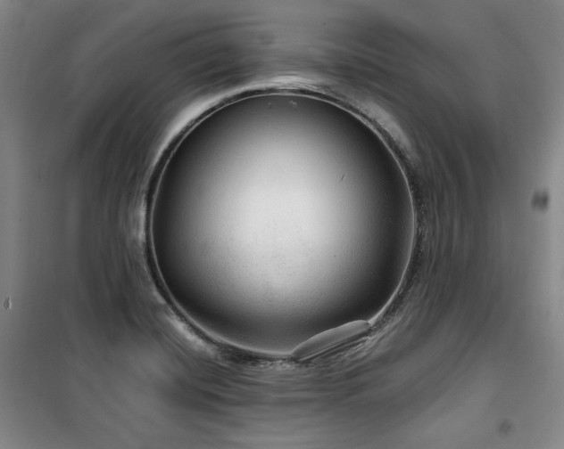 X0000100371420200806061145