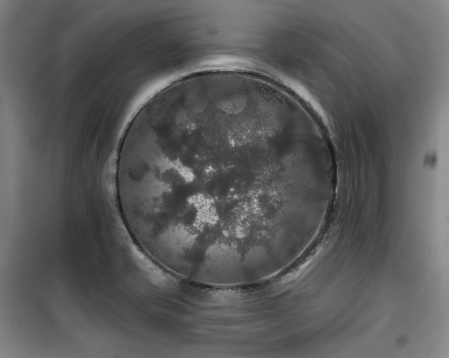 X0000100371421200806061145