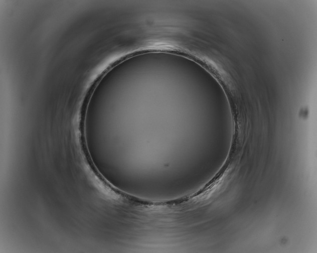 X0000100371422200806061145