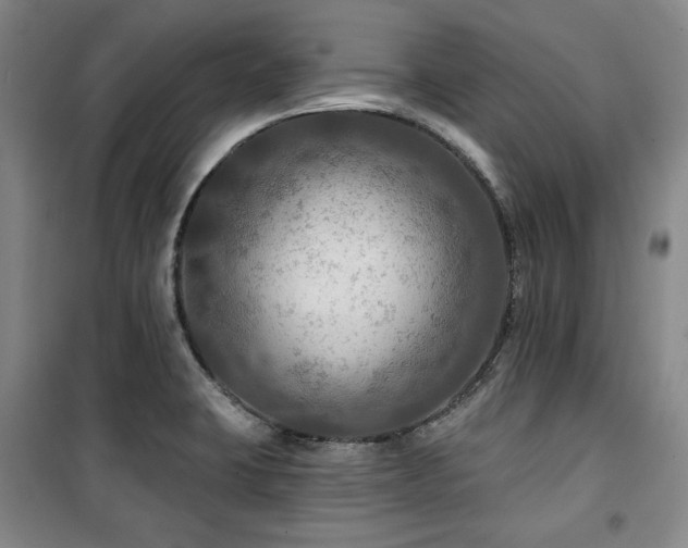 X0000100371423200806061145