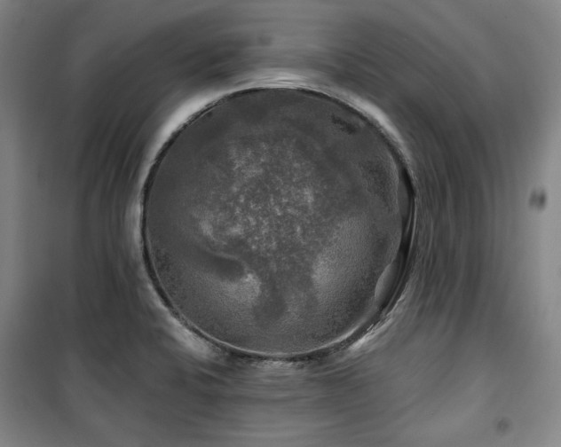 X0000100371424200806061145