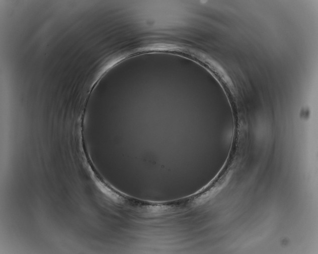 X0000100371425200806061145