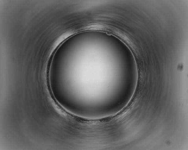 X0000100371426200806061145