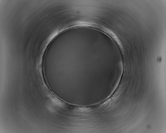 X0000100371427200806061145