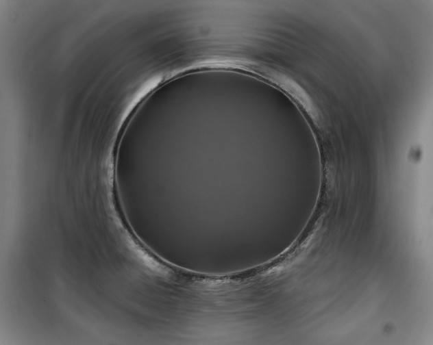 X0000100371428200806061145