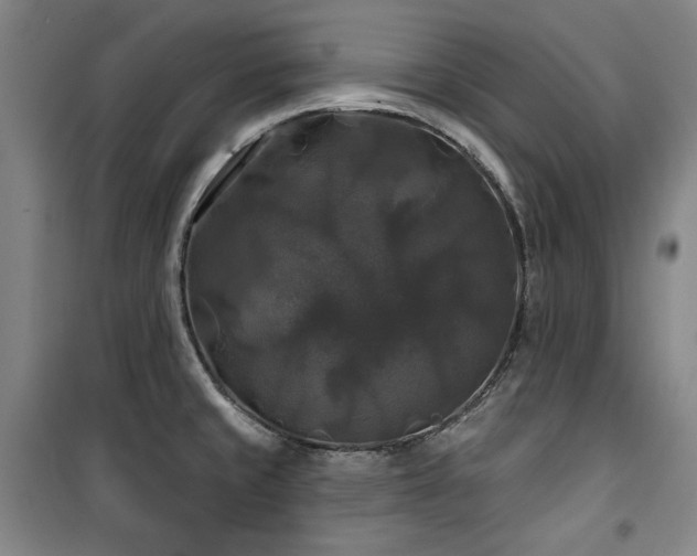 X0000100371429200806061145