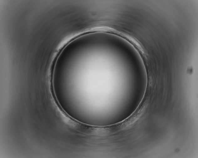 X0000100371430200806061145