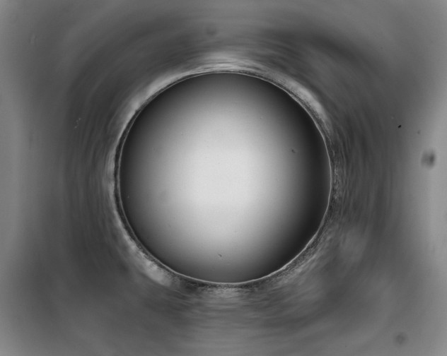 X0000100371431200806061145