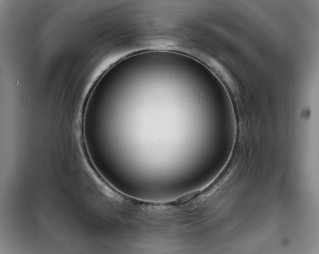 X0000100371432200806061145
