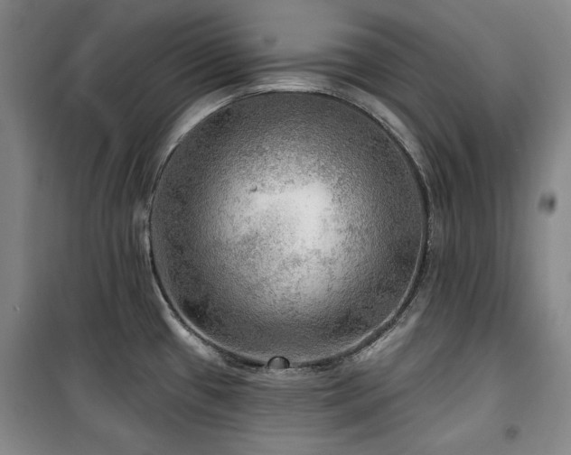 X0000100371433200806061145