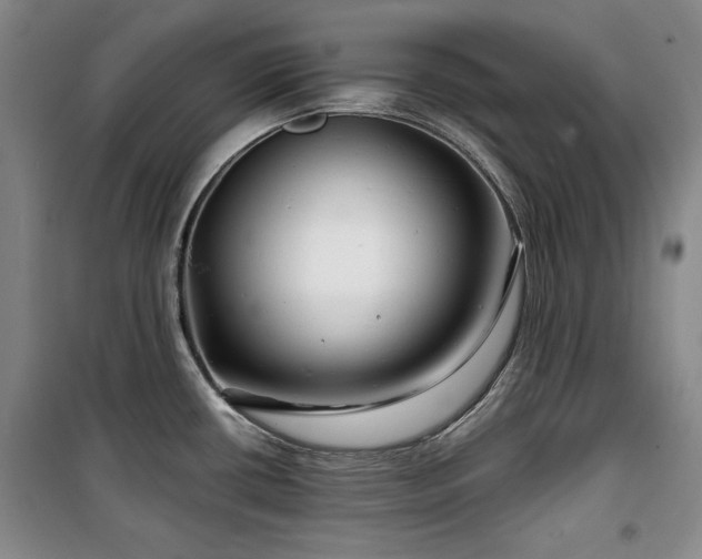 X0000100371434200806061145