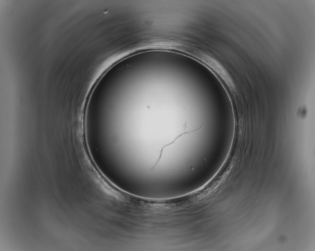 X0000100371436200806061145