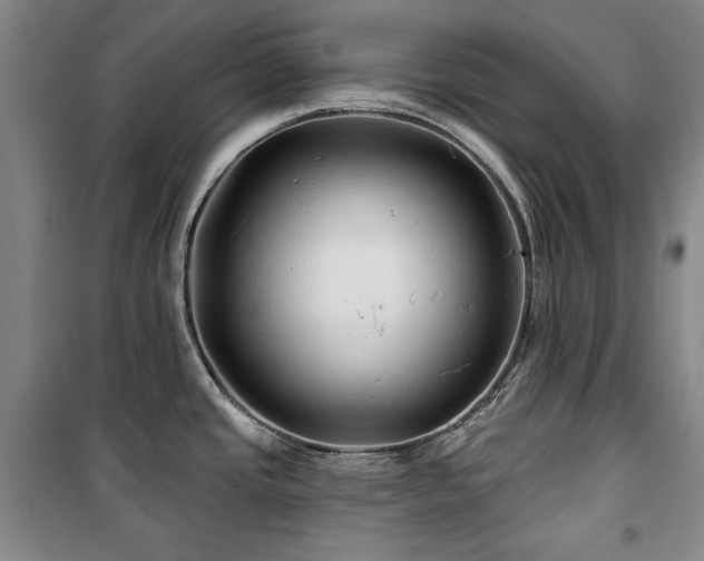 X0000100371437200806061145