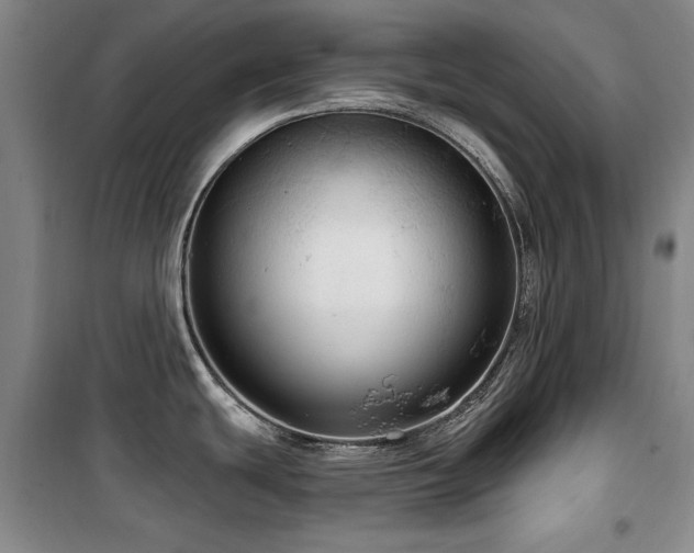 X0000100371439200806061145