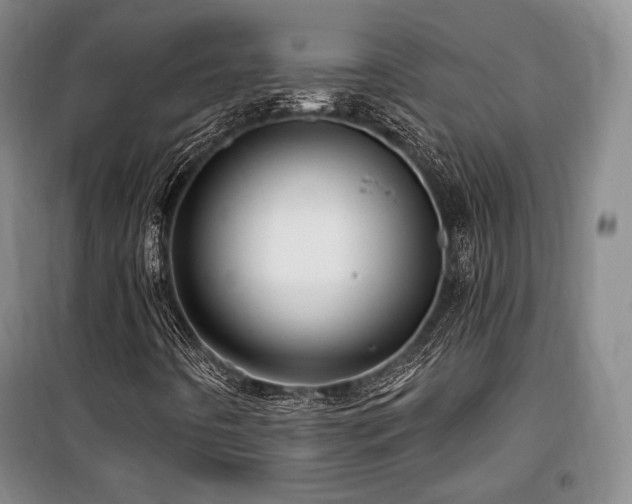 X0000100371442200806061144