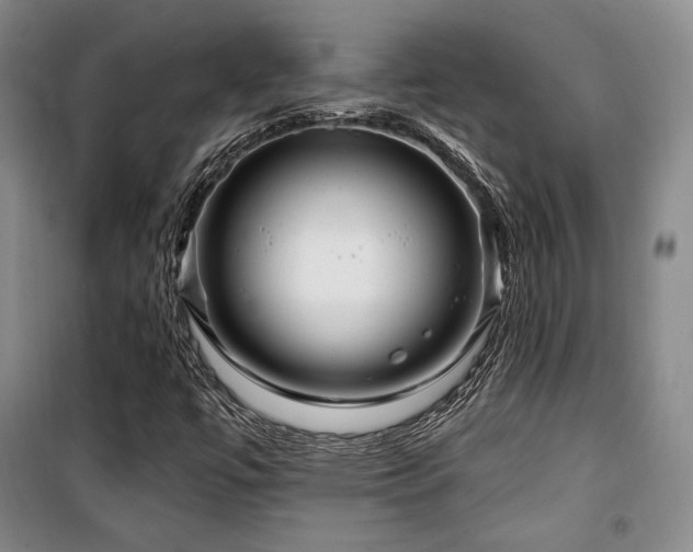 X0000100371447200806061144
