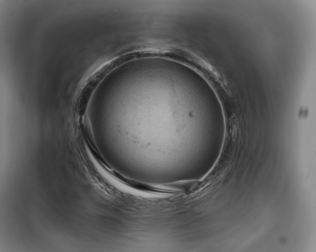 X0000100371448200806061144