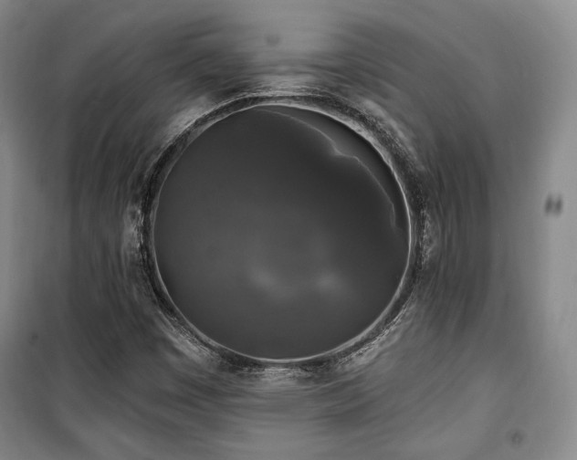 X0000100371449200806061144