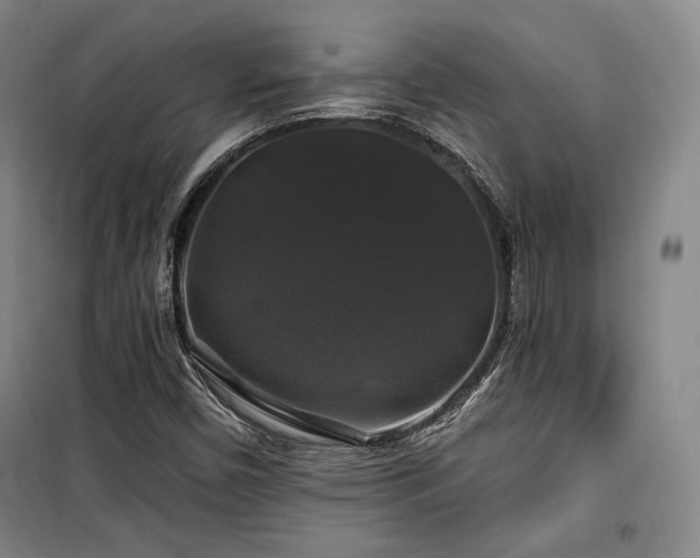 X0000100371450200806061144