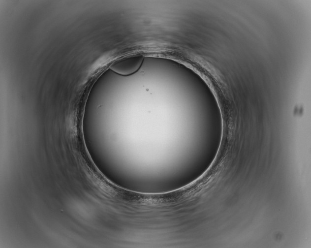 X0000100371451200806061144