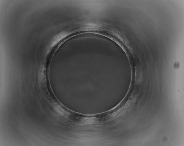 X0000100371453200806061144