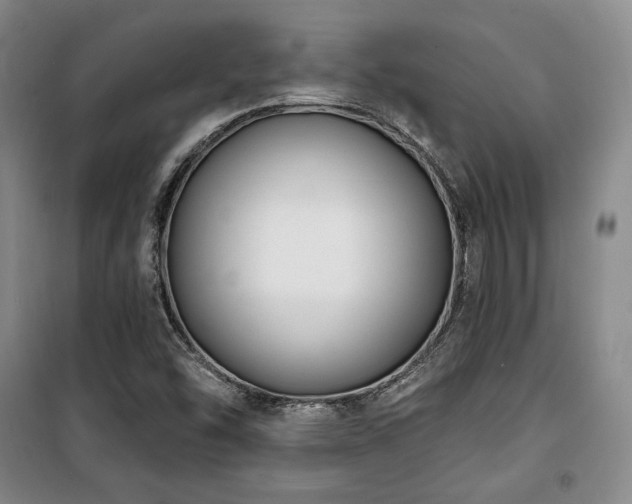 X0000100371454200806061144