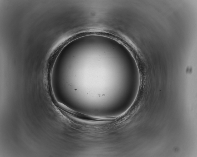 X0000100371456200806061144