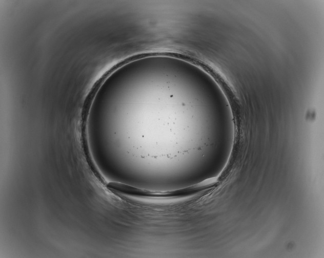 X0000100371460200806061144