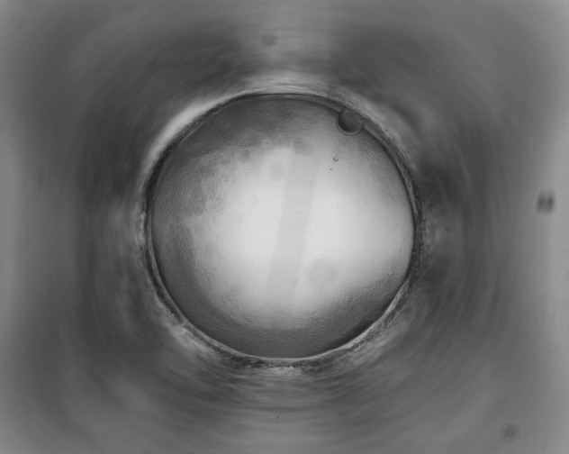 X0000100371462200806061144