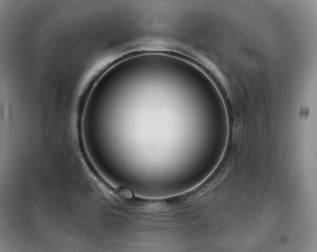 X0000100371464200806061144