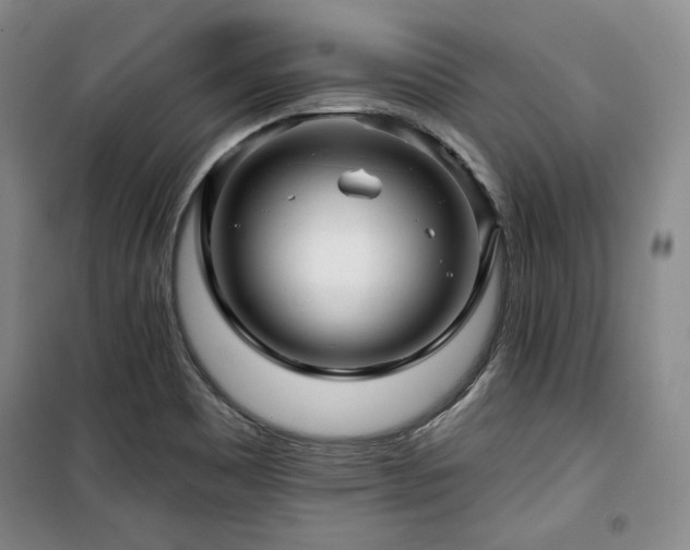 X0000100371465200806061144