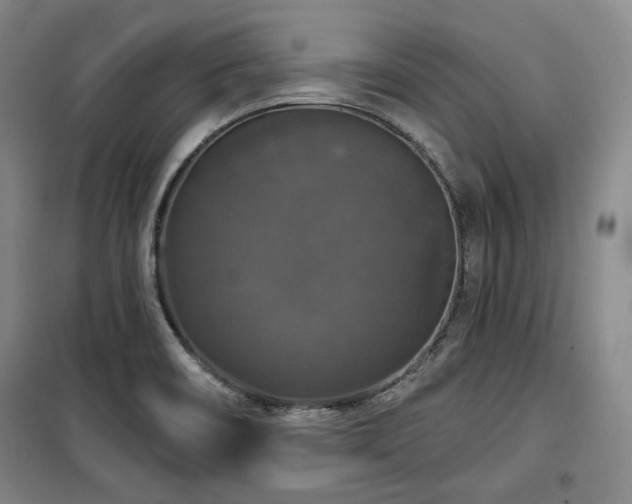 X0000100371466200806061144